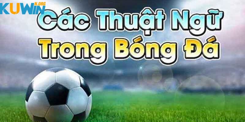 Ưu thế khi nắm rõ thuật ngữ cá độ bóng đá trong cá cược thể thao